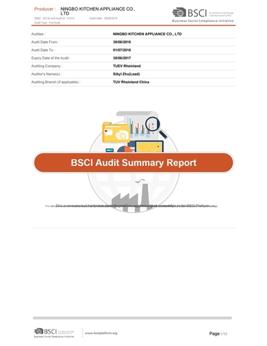 BSCI-SummaryAuditReport01